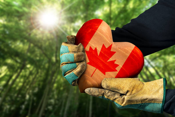 mains gantées tenant un cœur en bois avec le drapeau canadien - ouvrier coeur photos et images de collection
