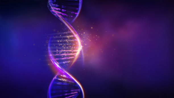 Glowing DNA strands in violet blue colors, 3D render. stock photo