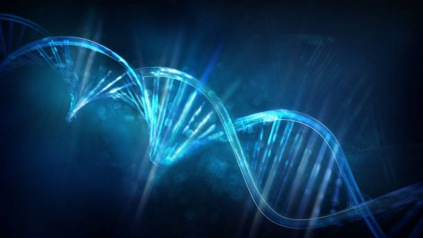 Glowing DNA strands on a dark blue background, 3D render. stock photo