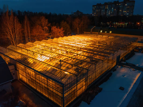 Glowing modern glass greenhouse in winter night, aerial view stock photo