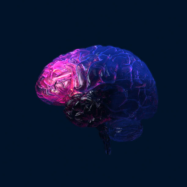 Glowing transparent human Brain on dark background stock photo