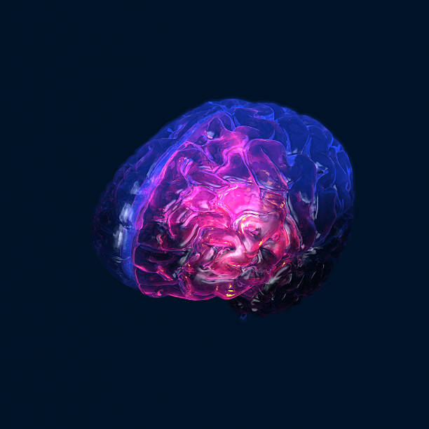 Glowing transparent human Brain on dark background stock photo
