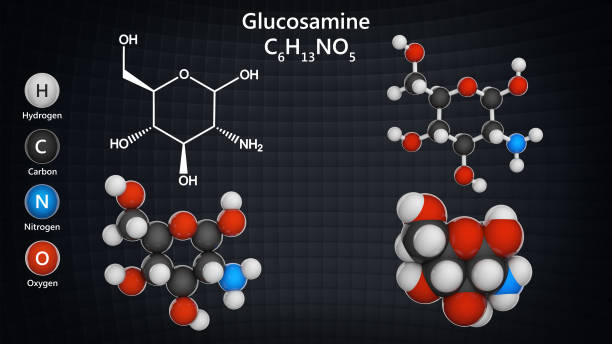Glucosamine (C6H13NO5) is an amino sugar Glucosamine (C6H13NO5) is an amino sugar. treatment for osteoarthritis. Chemical structure model: Ball and Stick + Balls + Space-Filling. 3D illustration. glucosamine stock pictures, royalty-free photos & images