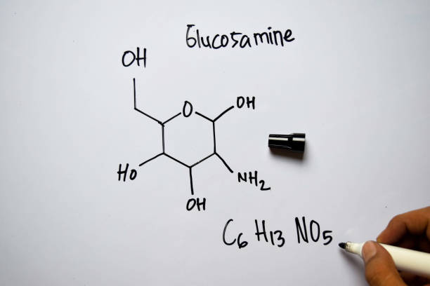 Glucosamine (C6,H13,NO5) molecule written on the white board. Structural chemical formula. Education concept Glucosamine (C6,H13,NO5) molecule written on the white board. Structural chemical formula. Education concept glucosamine stock pictures, royalty-free photos & images