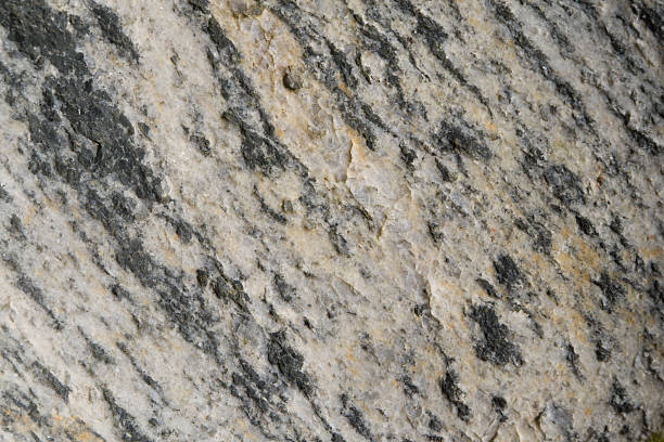 gneiss texture Close-up of gneiss, a metamorphic and ancient rock granitic stock pictures, royalty-free photos & images