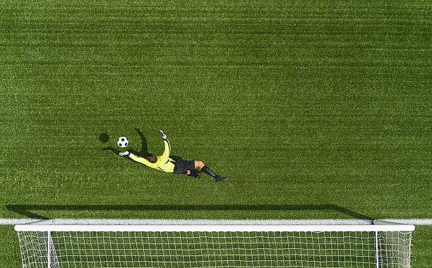 Goal Keeper In Action stock photo