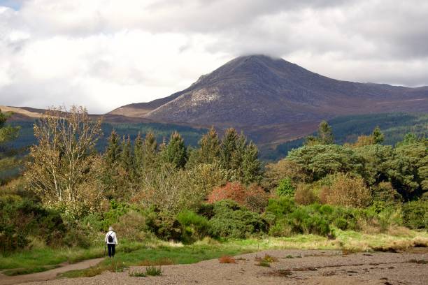 Goatfell, Isle of Arran, Scotland Autumnal scene with older lady walking along coast towards the goat fell mountain on the Island of Arran, west Scotland. skeable stock pictures, royalty-free photos & images