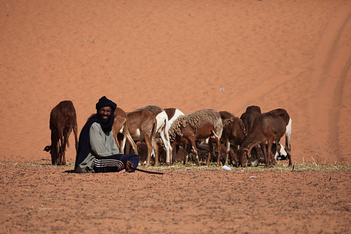 tuareg man drinking tea in a desert