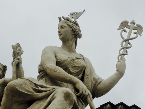 Horizontal closeup photo of the beautiful statue at the front of the Palace of Versailles of a Goddess holding the Staff of Caduceus, traditional symbol of the Messenger God, Hermes. A bird is perched on the head of the statue under a grey sky in Winter