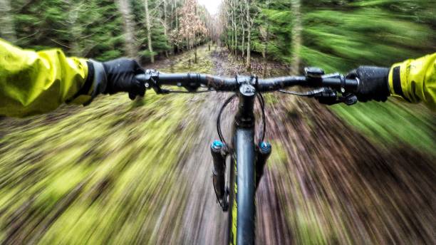 Going downhill on a mountain bike in the woods stock photo