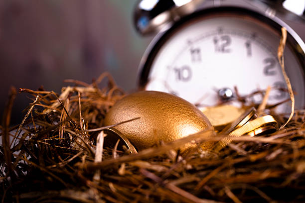 Gold and Golden Nest Egg with time clock on background Time to Save.  Gold and Golden Nest Egg with time clock on background. nest egg stock pictures, royalty-free photos & images