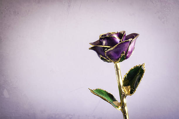 gold-dipped-purple-rose-picture