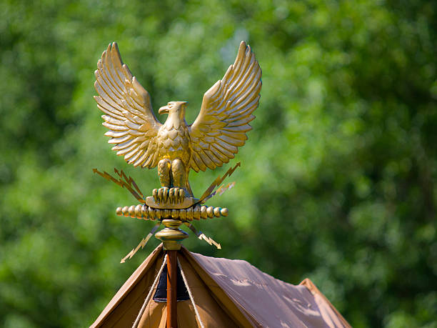 Gold roman eagle stock photo