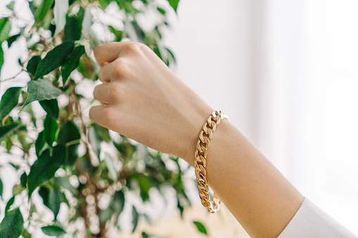 Golden bijouterie bracelet from chain on woman hand. White background with green plant.