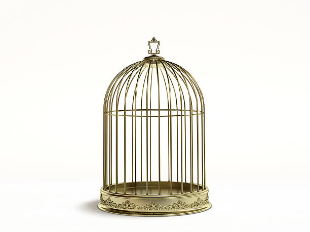 Golden birds cage Golden birds cage 3d cage stock pictures, royalty-free photos & images