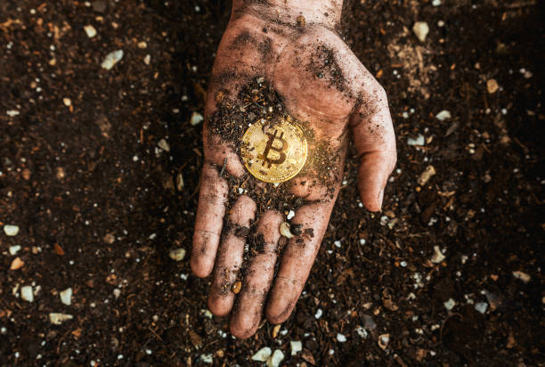 A golden bitcoin on the dirty hand of a miner. Metaphor of mining BTC and cryptocurrencies. Digital business and decentralized finances concept stock photo