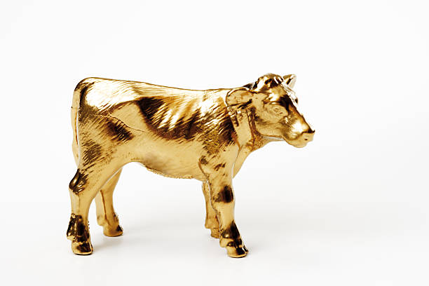 Golden calf, close-up stock photo