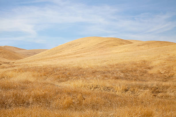 Golden California Hills stock photo