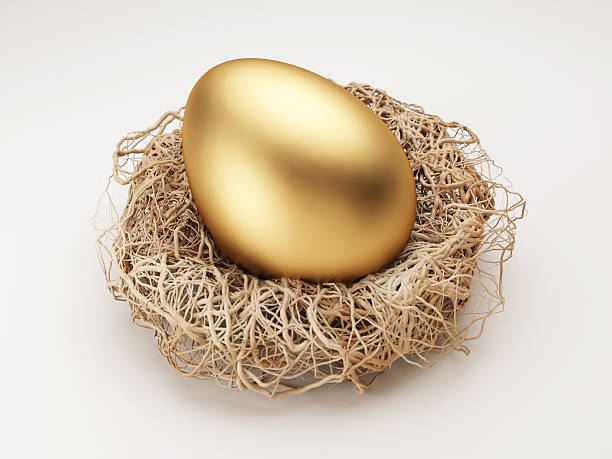 A golden egg in a nest on a white background Golden Egg in Nest Isolated on White nest egg stock pictures, royalty-free photos & images