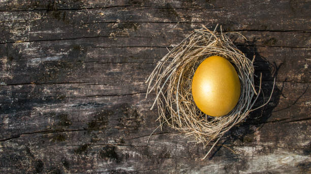 A golden egg opportunity concept of wealth and a chance to be rich A golden egg opportunity concept of wealth and a chance to be rich nest egg stock pictures, royalty-free photos & images