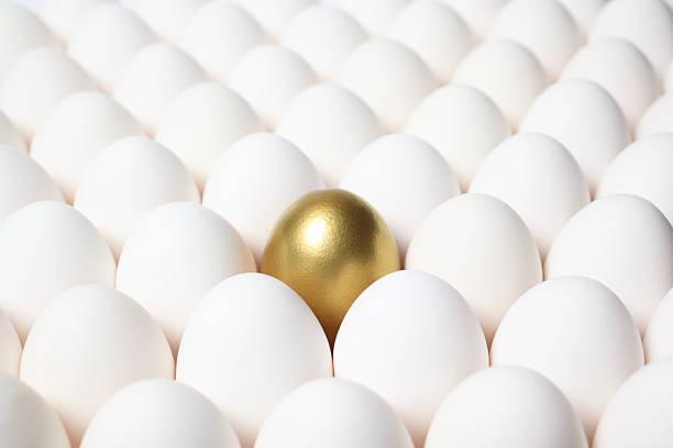 Golden Egg Standing Out from a Crowd of Ordinary Eggs Gold egg among rows of regular eggs. midsection stock pictures, royalty-free photos & images