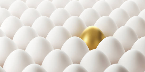 Golden egg surrounded by white eggs is standing out from the crowd. Standing out from the crowd and individuality concept. Horizontal composition with copy space.