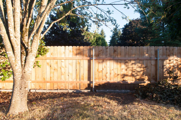 Golden Fence stock photo
