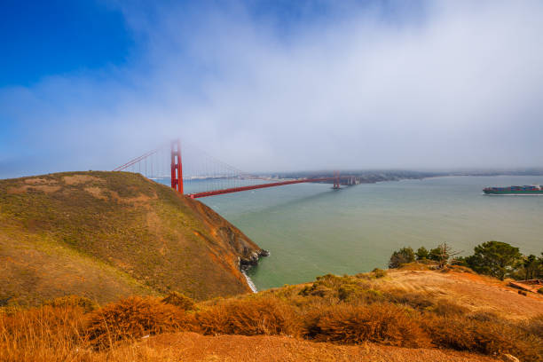 https www istockphoto com jp e5 86 99 e7 9c 9f e3 83 9f e3 83 ab e3 83 90 e3 83 ac e3 83 bc