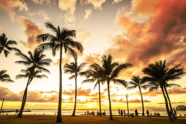 Golden hour sunset along Waikiki Beach Typical picturesque sunset along Waikiki Beach with hundreds gathering to watch honolulu stock pictures, royalty-free photos & images