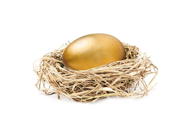 golden nest egg isolated on white  nest egg stock pictures, royalty-free photos & images