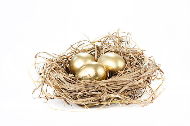 golden nest egg gold nest eggs isolated on a white background nest egg stock pictures, royalty-free photos & images