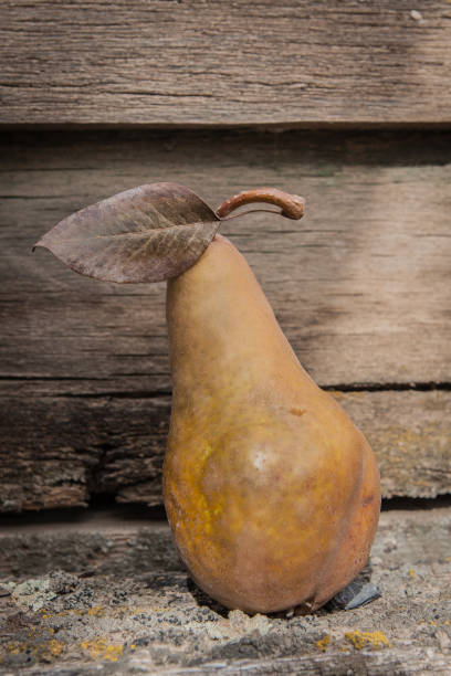 golden pear stock photo