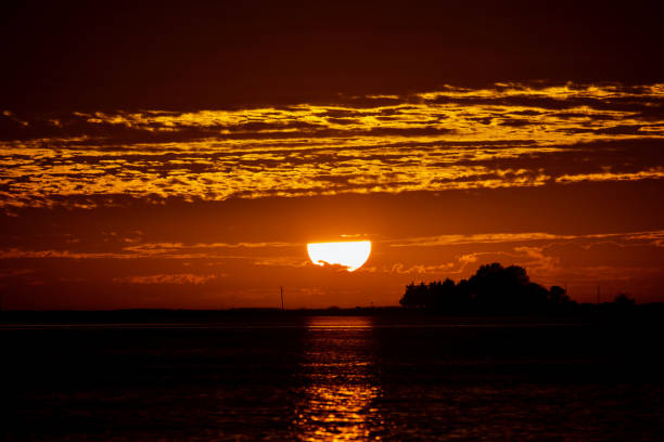 Golden sunset stock photo