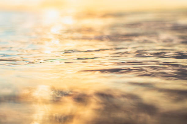 Golden surface of the water with textured pattern and ripples in the golden morning sun stock photo