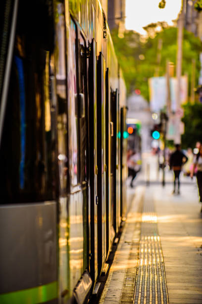 Golden Tram Stop A famous Melbourne tram is stopped at a city tram stop in the golden late afternoon light. melbourne street stock pictures, royalty-free photos & images