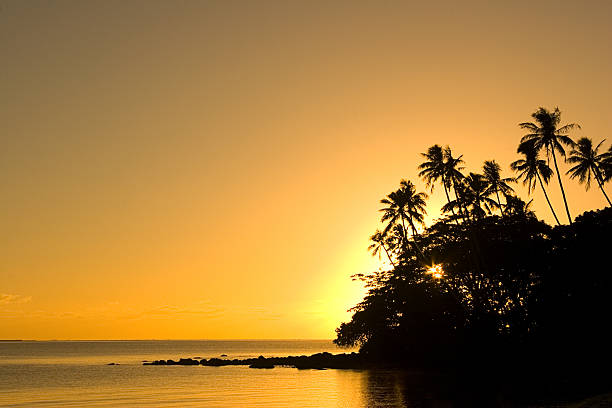 Golden Tropics  apia samoa stock pictures, royalty-free photos & images
