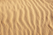 istock Golden wavy fine sand background, windy surface 1329309756