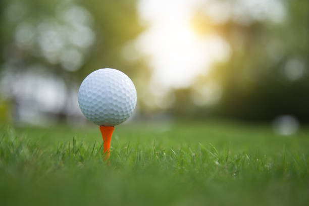Golf ball on grass. stock photo