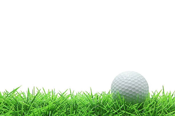 golf ball on green grass stock photo