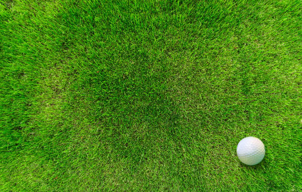 Golf Balls lying on green Grass stock photo