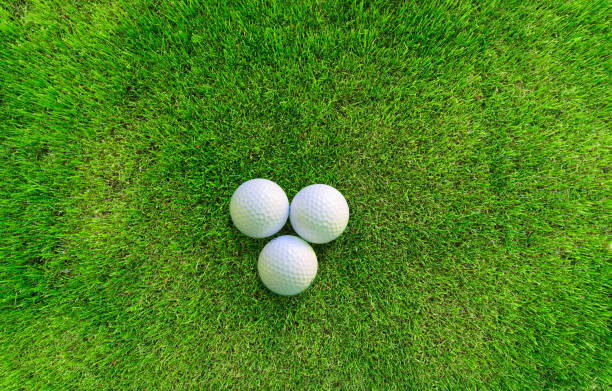 Golf Balls lying on green Grass stock photo