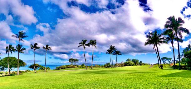golf course fairway and palms on a walk - maui, hi samuel howell stock pictures, royalty-free photos & images