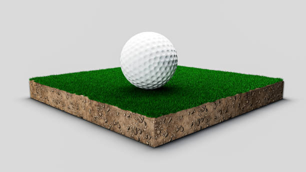Golf course grass geological cross section of the soil. 3d illustration stock photo