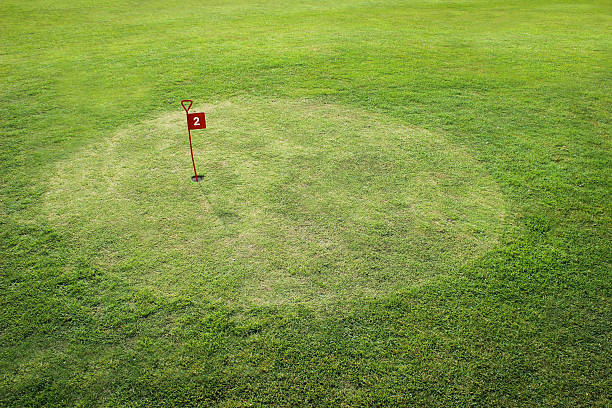 Golf course pot hole number two stock photo