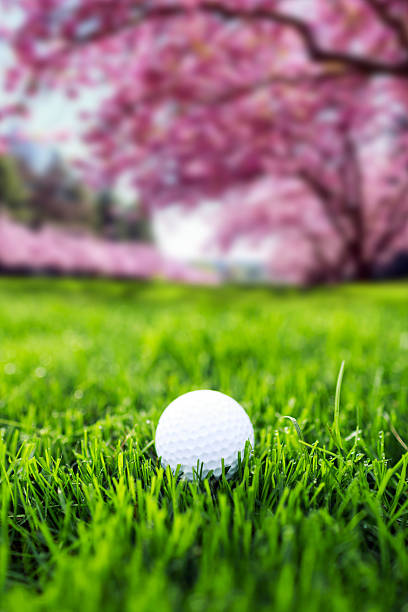 Golf in spring time stock photo