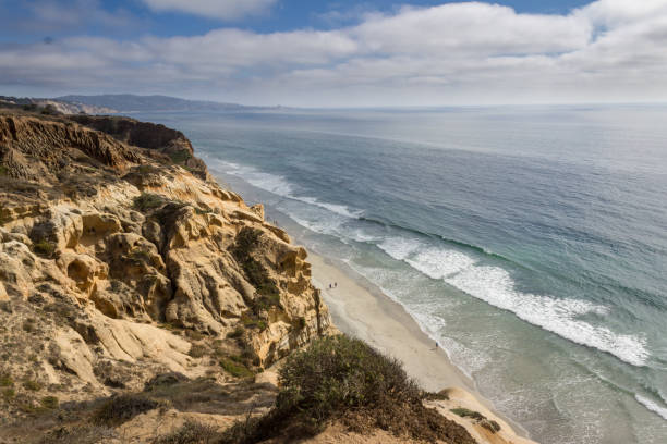 Gorgeous clear view of Torrey Pines Natural State Reserve in San Diego, California Gorgeous clear view of Torrey Pines Natural State Reserve in San Diego, California USA. nature reserve stock pictures, royalty-free photos & images