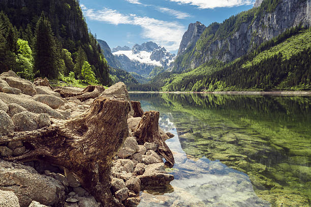 gosausee with dachstein view Gosau lake (german: Gosausee) in Upper Austria, Salzkammergut, idyllic view with Dachstein mountain summit in the background, reflecting in the lake. dachstein mountains stock pictures, royalty-free photos & images