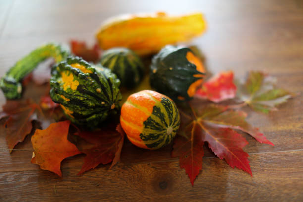 Gourds and autumn leaves stock photo