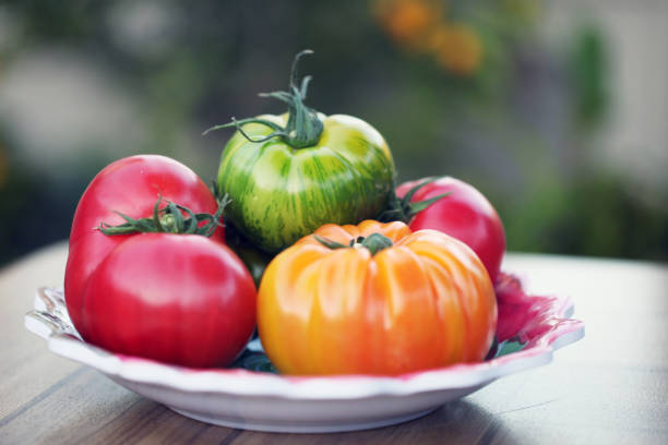 Gourmet Tomatoes stock photo