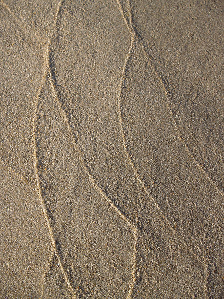 Graceful Sand Tracings in Ocean Grove, New Jersey stock photo